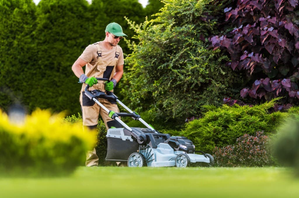 Grass mowing at a short-term rental